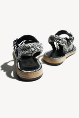 <transcy>AURORA</transcy>