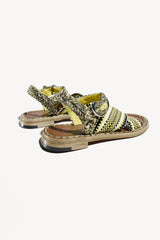 <transcy>AURORA</transcy>