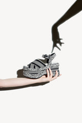 <transcy>CARMEN</transcy>