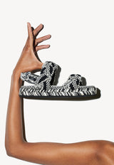 <transcy>MARIA</transcy>