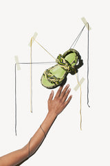 <transcy>MARIA</transcy>