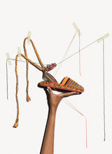 <transcy>AMPARO</transcy>